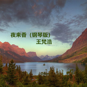 偷情一级二级片
